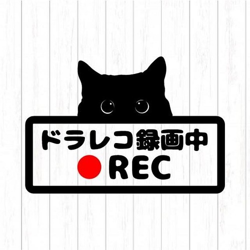 ドライブレコーダー 搭載 ドラレコ ステッカー ドラ猫 猫 ねこ 車ステッカー Mサイズ 154dm シール ステッカー Artus Design 通販 Creema クリーマ ハンドメイド 手作り クラフト作品の販売サイト