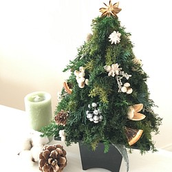 ヒムロスギのクリスマスツリー WHITE 1枚目の画像