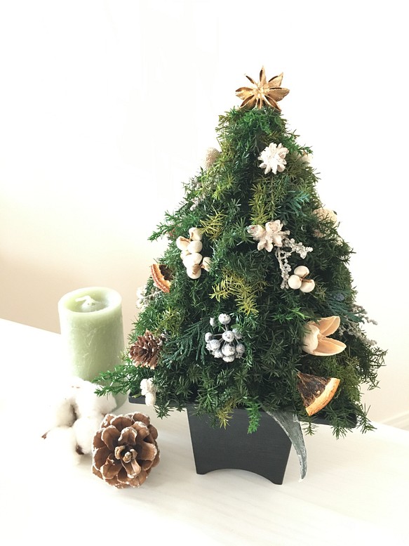 ヒムロスギのクリスマスツリー WHITE 1枚目の画像