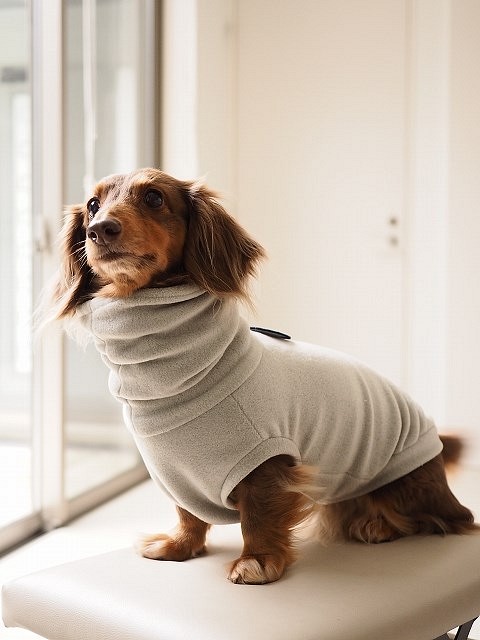 犬服 ダックスちゃんのハイネックタンクトップ 薄手 グレー ペット服