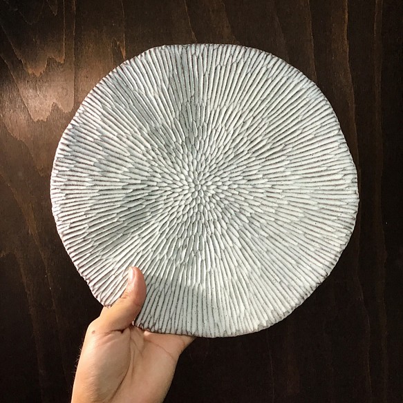 島サンゴのプレート皿 8.5寸✨ 1枚目の画像