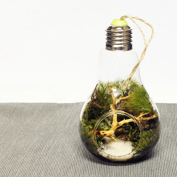 現品 12cm ミニ 電球のボトルテラリウム 苔テラリウム 完成品 現物 苔盆景 テラリウム 流木 木化石 フラワー リース 苔庵 介る Scale 通販 Creema クリーマ ハンドメイド 手作り クラフト作品の販売サイト