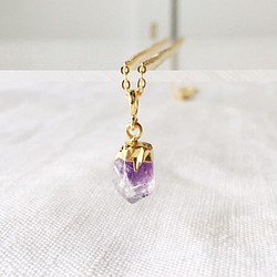 [2月生日石]紫水晶魅力項鍊 第1張的照片