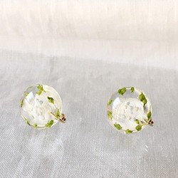 嬰兒色榛子和繡球花釘（單）耳環（20毫米） 第1張的照片