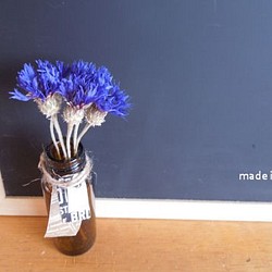 ドライフラワー　矢車草　ヤグルマソウ　ブルー　ミニ丈　5本　花材 送料無料 1枚目の画像