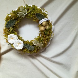 フレンチマリアンヌのgreen dolce wreath(ドルチェリース)　プリザーブドフラワードライフラワー 1枚目の画像