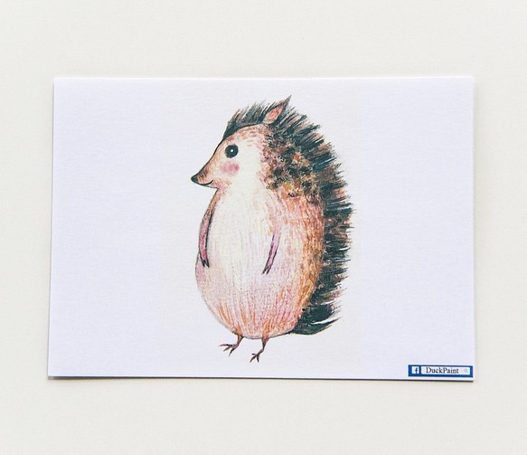 明信片我是小刺蝟不是豪豬啦/ヘッジホッグハガキ/Hedgehog postcard 第1張的照片