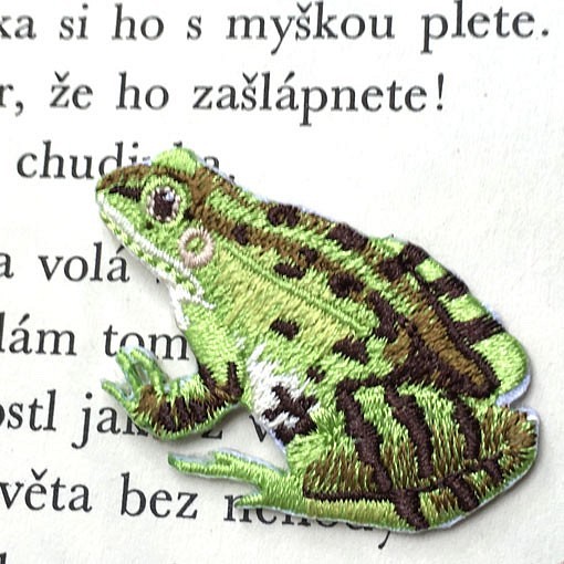 アップリケワッペン-トノサマガエル　蛙 1337 1枚目の画像