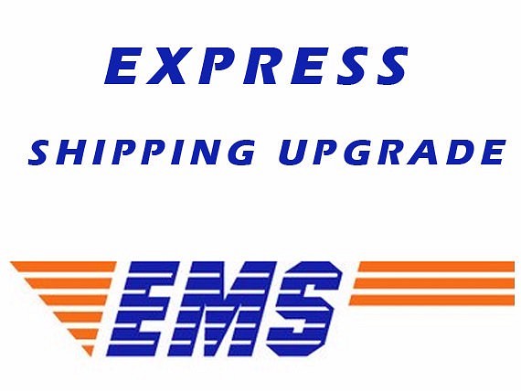 EXPRESS SHIPPING UPGRADE(EMS) 1枚目の画像