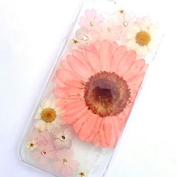 iPhone6plus、6Splus專用包“粉紅非洲菊③” 第1張的照片