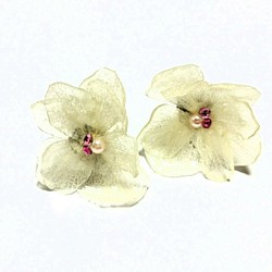 保鮮花“白繡球花耳環/耳環” 第1張的照片