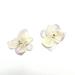保鮮花“白色紫色繡球耳環/耳環” 第1張的照片