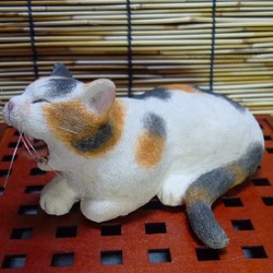 和猫百景　あくびをする三毛猫　(送料無料) 1枚目の画像