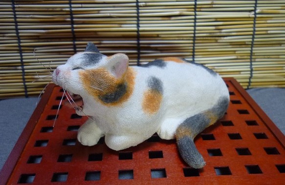 和猫百景　あくびをする三毛猫　(送料無料) 1枚目の画像