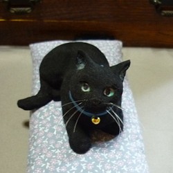 くつろぐ青い目の黒猫　長座布団付 1枚目の画像