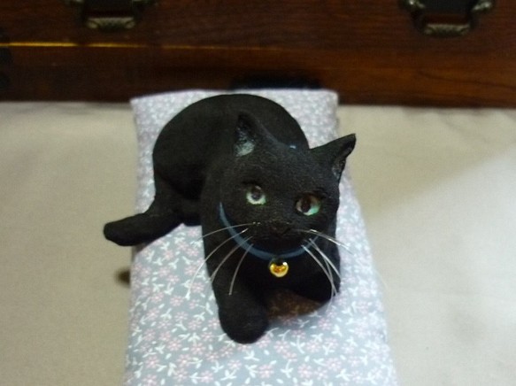 くつろぐ青い目の黒猫　長座布団付 1枚目の画像