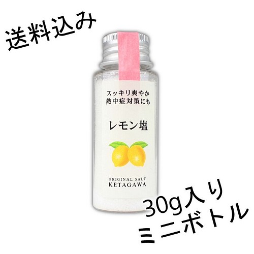 送料込み】【無添加】レモン塩 持ち運び便利ミニボトル その他調味料