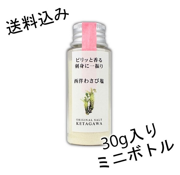 送料込み】【無添加】西洋わさび塩 持ち運び便利ミニボトル その他調味