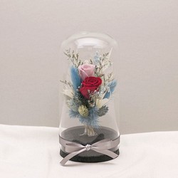 【奇比植作】（紅色＋粉色玫瑰、藍色系花束）永生花花束星空瓶8X16 - 乾燥花/禮品/客製 第1張的照片