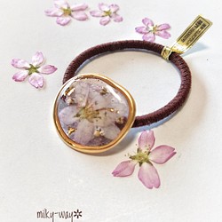 ケイオウ桜と優美な歪みリングのヘアゴム／紫レジンに霞む桜 1枚目の画像