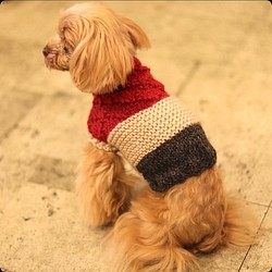 かしこまりました犬の手編み服