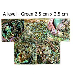 2.5cm 正方形 5個/袋 A Level グリーンメキシコアワビ  天然シェルシート モザイクデコジュエリーデザイ 第1張的照片