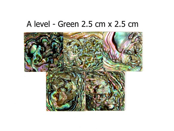 2.5cm 正方形 5個/袋 A Level グリーンメキシコアワビ  天然シェルシート モザイクデコジュエリーデザイ 第1張的照片