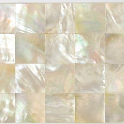 2.5cm 正方形 20個/袋 B Level 海水白蝶貝 天然シェルシート モザイクデコジュエリーデザイ インレイ 1枚目の画像