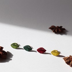 leafs 葉の一年アソートセット イヤリング✴︎ピアス 1枚目の画像
