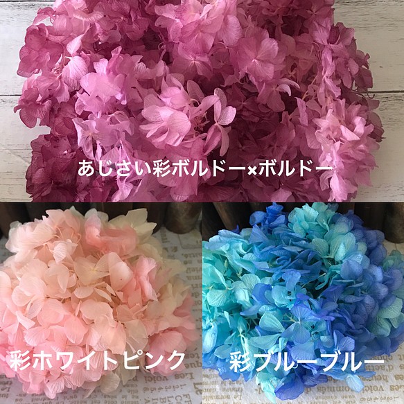 新色一色Plus再入荷東北花材彩小分け紫陽花❣️ハーバリウム花材