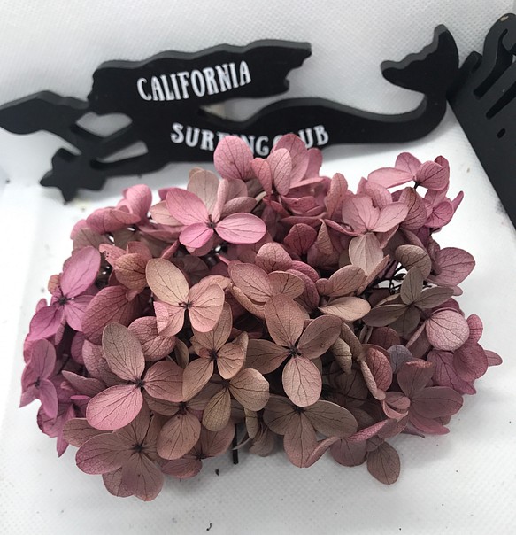 ベリーバイカラー紫陽花小分け❣️ハーバリウム花材プリザーブドフラワー 1枚目の画像