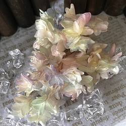 虹色パステルグラデーションカシワバアジサイアレンジ加工小分け❣️ハーバリウム花材プリザーブドフラワー 1枚目の画像