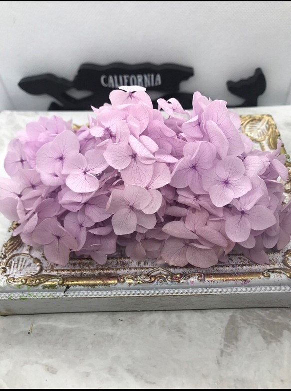 アンナアジサイライラック小分け❣️ハーバリウム花材プリザーブドフラワー 1枚目の画像