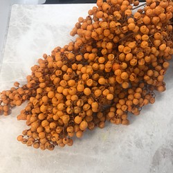 大地農園ペッパーベリーオレンジ小分け❣️ハーバリウムハンドメイド花材プリザーブドフラワー 1枚目の画像