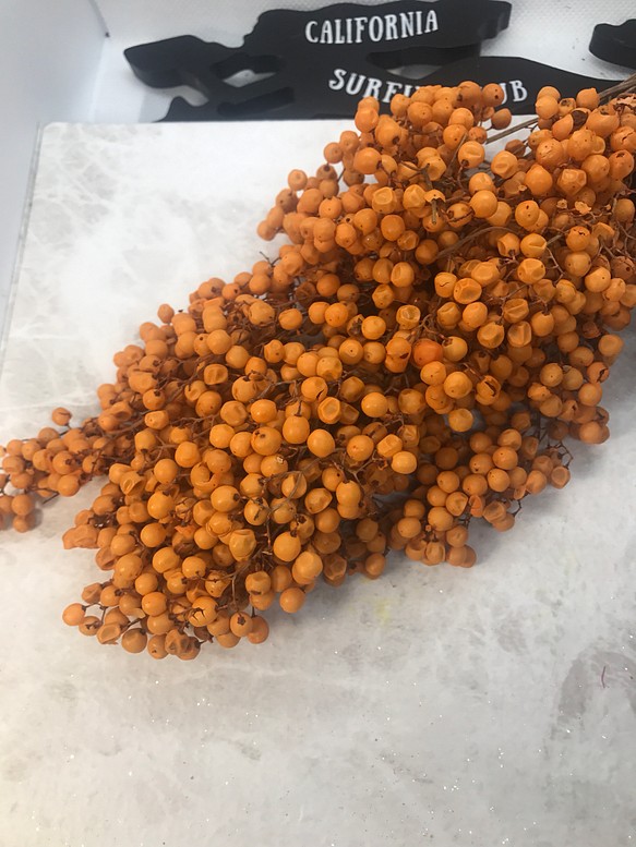 大地農園ペッパーベリーオレンジ小分け❣️ハーバリウムハンドメイド花材プリザーブドフラワー 1枚目の画像