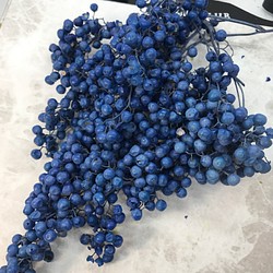 大地農園ペッパーベリーブルー小分け❣️ハーバリウム花材プリザーブドフラワー 1枚目の画像