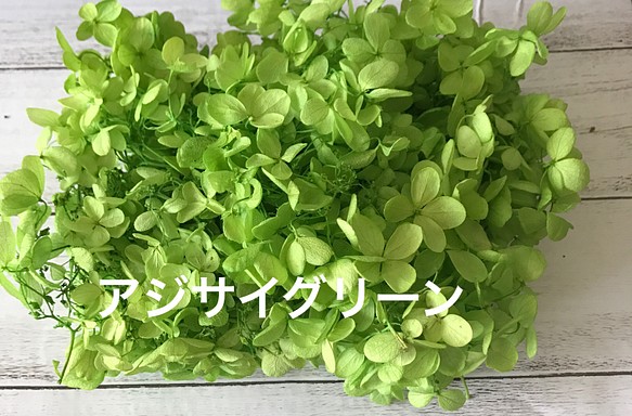 アジサイグリーン小分け❣️ハーバリウム花材プリザーブドフラワー 1枚目の画像