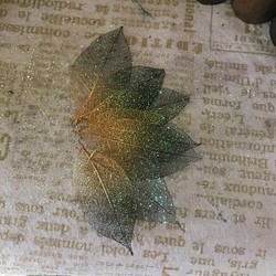 ゴージャスミニスケルトンリーフ小ブラックゴールドツートンオーロラアレンジ加工❣️ハーバリウム花材プリザーブドフラワー 1枚目の画像