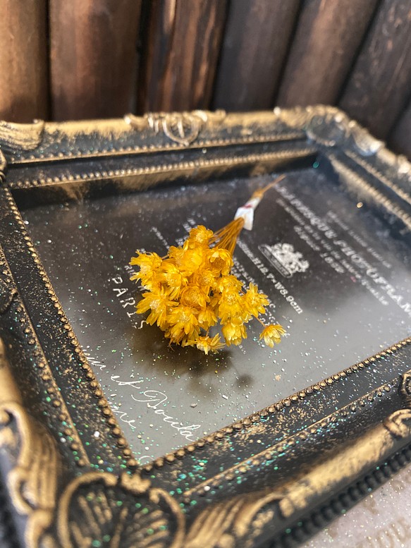 発色綺麗❣️スターフラワーミニマルセライエロー小分け❣️ハーバリウムボールペン花材ドライフラワー 1枚目の画像