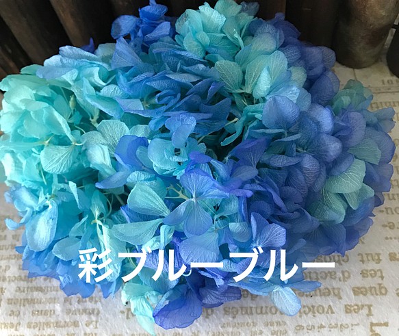 東北花材高価花材❣️彩ブルーブルーアジサイ小分け❣️ハーバリウム花材プリザーブドフラワー 1枚目の画像