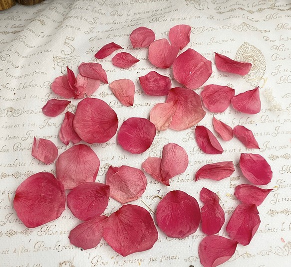 プリザーブドフラワーローズ花びら販売❣️Lサイズ✨ハーバリウムレジンアクセサリーパーツ 1枚目の画像