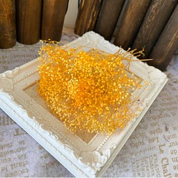 アレンジ加工ソフトミニカスミ草レモンオレンジグラデーションオーロラ❣️ハーバリウム花材プリザーブド 1枚目の画像