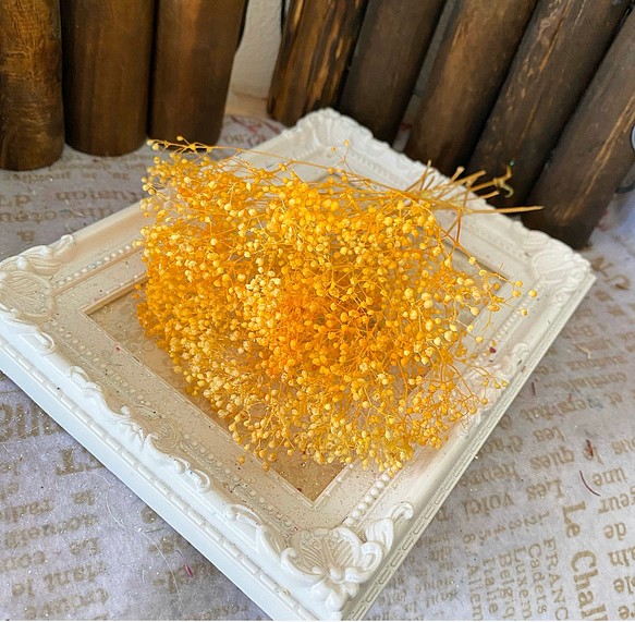 アレンジ加工ソフトミニカスミ草レモンオレンジグラデーションオーロラ❣️ハーバリウム花材プリザーブド 1枚目の画像