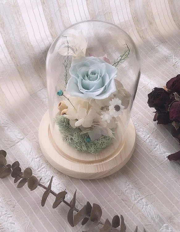 ｛微語花坊｝永生玫瑰玻璃罩～水藍 第1張的照片