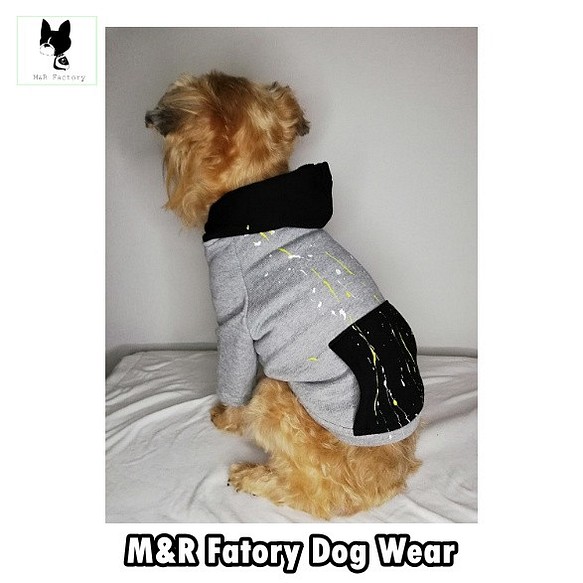 ペイント加工・グレー地裏毛・クロ袖・フード付犬服Tシャツ0351　#犬服通販　#ボストンテリア #フレンチブルドッグ 1枚目の画像
