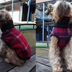 【犬服オリジナル】暖か・アカチェック・フリースハイネック犬服　mrfw0242　#犬服通販 1枚目の画像