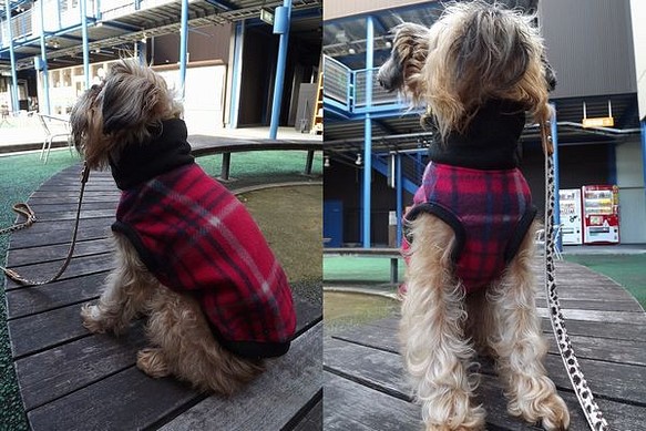 【犬服オリジナル】暖か・アカチェック・フリースハイネック犬服　mrfw0242　#犬服通販 1枚目の画像