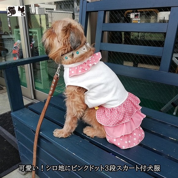 直売純正品 えりじゅ様専用 犬服 ハンドメイド www.m