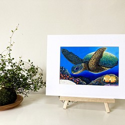 We All Come From The Ocean｜ Giclée Prints｜Fine Art Prints 1枚目の画像