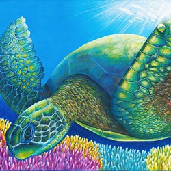 海龜繪畫《我屬於的地方》sea turtle painting "The Place I Belong" 第1張的照片